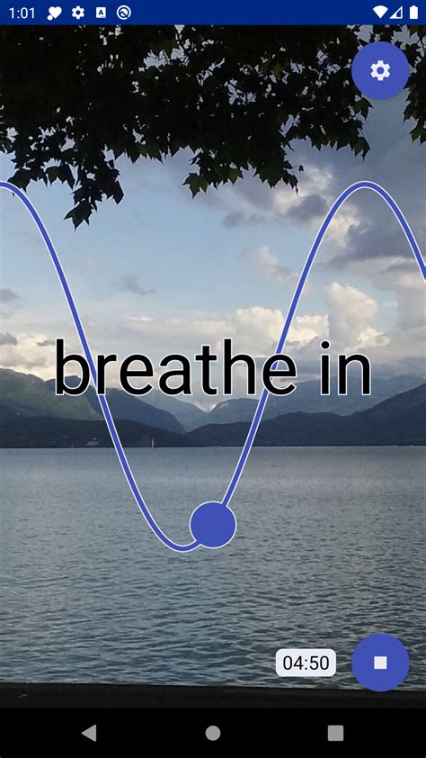 Heart Coherence Breathing Exercises Steady Practice Timer