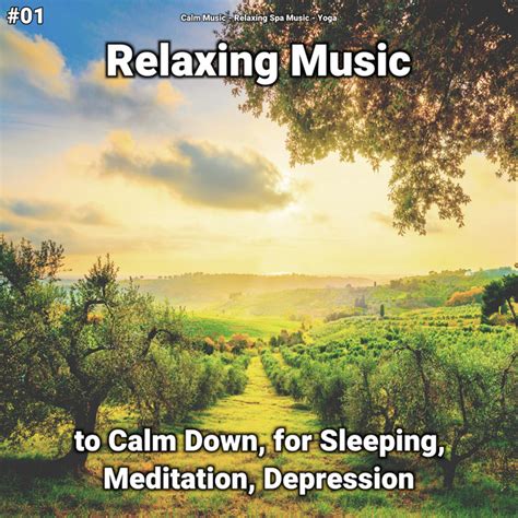 01 Relaxing Music To Calm Down For Sleeping Meditation Depression