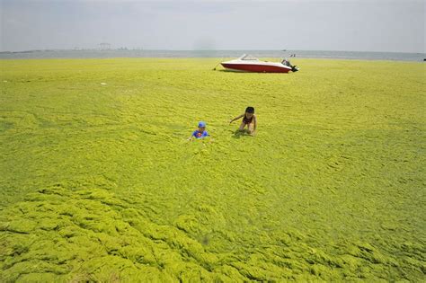 The Yellow Sea is located between the Korean Peninsula and the east ...