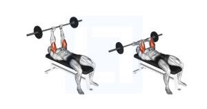 Barbell Lying Triceps Extension Guide Benefits And Form