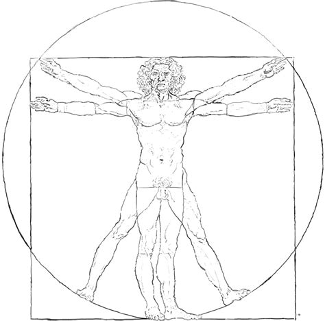 Vitruvian Man Sketch at PaintingValley.com | Explore collection of ...