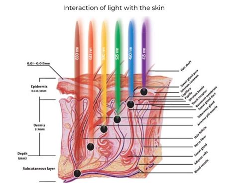 LED Light Therapy | MyLEDtherapy | LED Light Therapy Facial