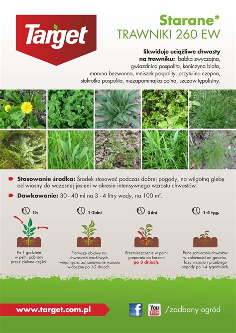 Starane Trawniki Zwalcza Chwasty Na Trawniku 250 Ml Target Z