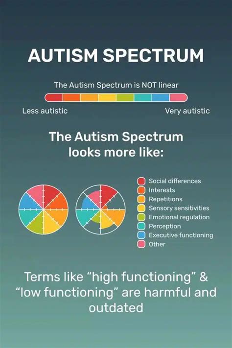 What S Autism Spectrum Disorder Level Goally