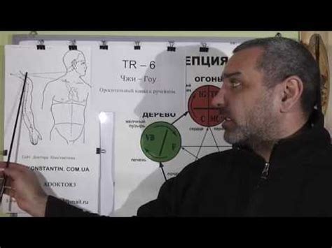 Плексит. Точки Акупунктуры в помощь. - YouTube