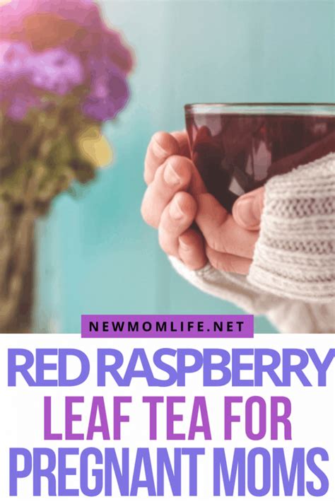 The Benefits Of Red Raspberry Leaf Tea In Pregnancy New Mom Life