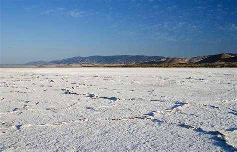 California Drought Impacts Wildlife Living Around Soda Lake - Lake Scientist