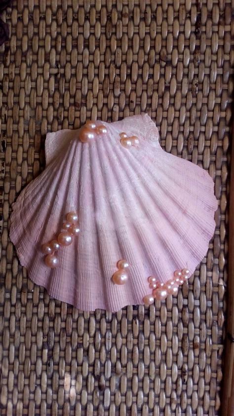 Pin su Shell Crafts | Conchiglie