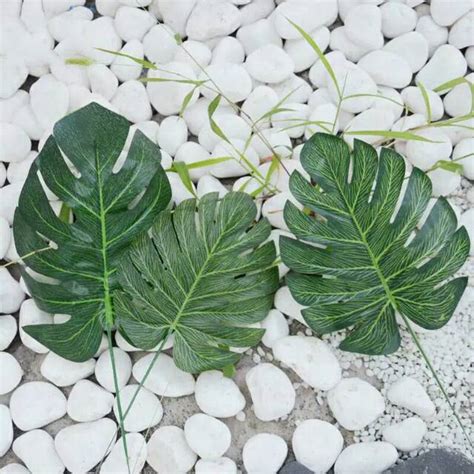 Jual Daun Monstera Artificial Palsu Buatan Imitasi Plastik Daun Hias Sintetis Shopee Indonesia