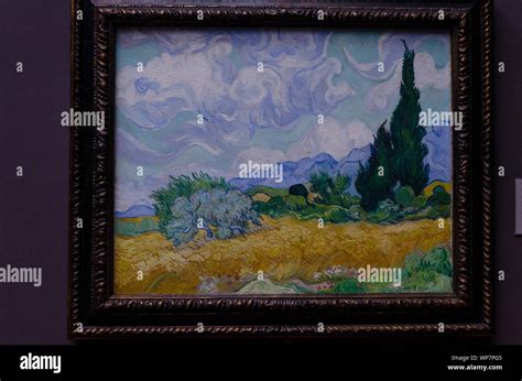 Wheat Field With Cypresses By Vincent Van Gogh September 1889 Stock