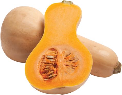 Butternut Squash Png Clipart Large Size Png Image Pikpng