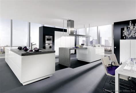 Contemporary Kitchen Cabinets - Pictures and Design Ideas