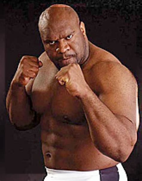 Bob Sapp Alchetron The Free Social Encyclopedia