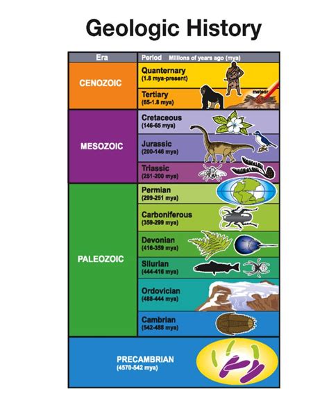 Geological Periods Poster Geology Geologic Time Scale History Of Earth Hot Sex Picture