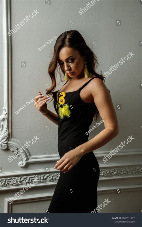 Beautiful Sexy Brunette Girl Dress Posing Stock Photo 1282611727 Shutterstock