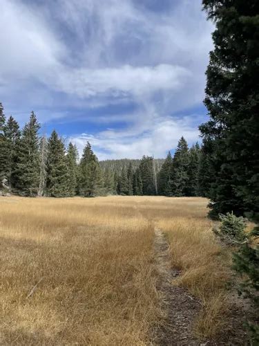 10 Best Hikes and Trails in Pine Valley Mountain Wilderness | AllTrails