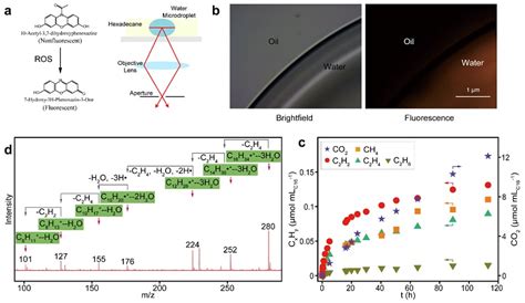 大连化物所王峰团队jacs：水 油微界面存在接触电致氧化还原反应 X Mol资讯