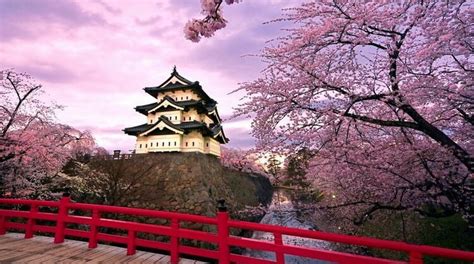 Herşey Dahil Japonya Kore Turu : Deepnature Travel