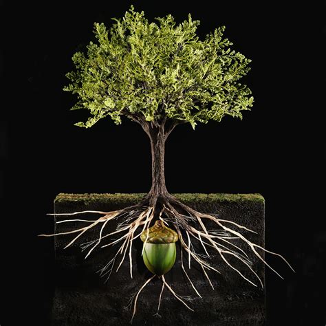 The value premium of organic growth | McKinsey