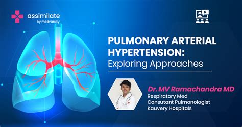 Pulmonary Arterial Hypertension Exploring Approaches Assimilate