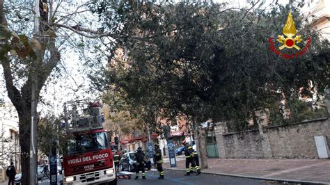 Maltempo Forte Vento Nel Nuorese Raffiche Di Km H Alberi Abbattuti