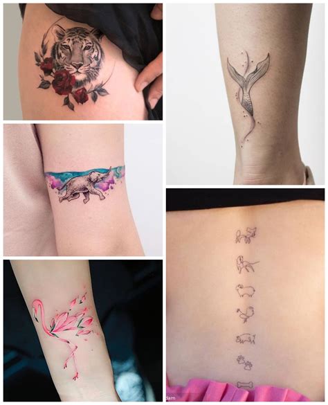 Tatuagens De Animais Para Te Inspirar Quase Mineira