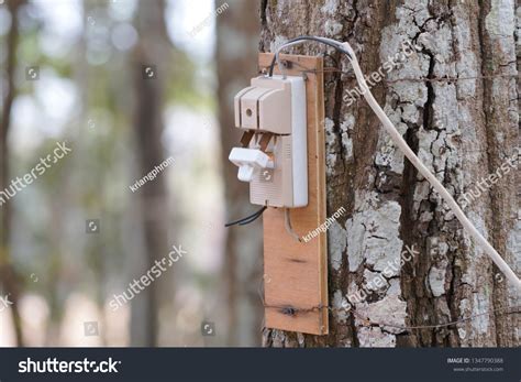Manual Cut Out Yellow Cut Out Stock Photo 1347790388 Shutterstock