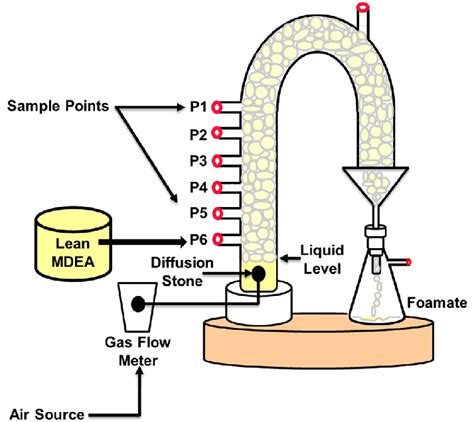 Schematic Diagram For Continuous Foam Fractionation Setup Download