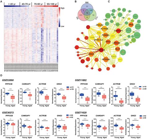 Frontiers Gene Expression Analysis Reveals Novel Gene Signatures