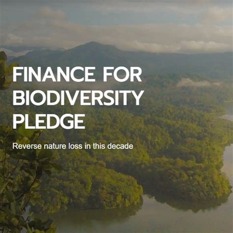 Finance For Biodiversity Pledge Nextgreen