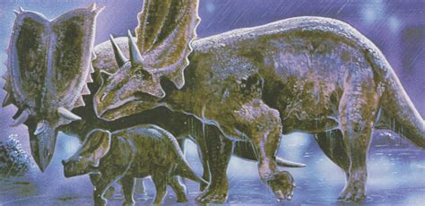 Chasmosaurus Love In The Time Of Chasmosaurs