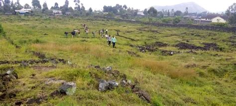 Goma le conseil des jeunes de Karisimbi indexés avec une autorité de