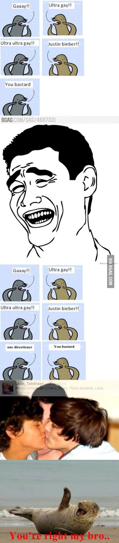 Gay Seal Fight FİXED 9GAG