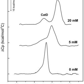 Thermal Denaturation Curves Of PL3 DSC Profiles Of PL3 Were Measured