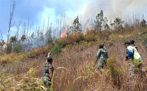 Karhutla Gunung Lawu Belum Padam Berpotensi Bencana