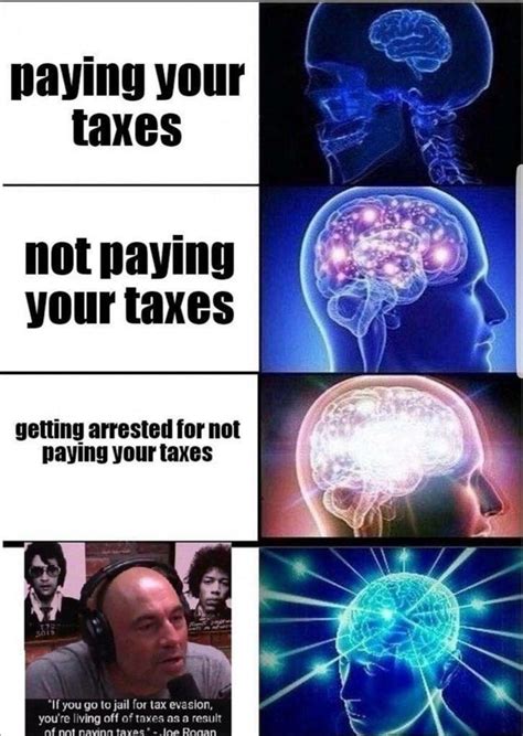 If You Go To Prison For Tax Evasion You Are Living Off Of Taxes For Not