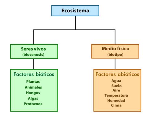 Esquema De Ecosistema Fotos Gu A Hot Sex Picture 7776 The Best Porn