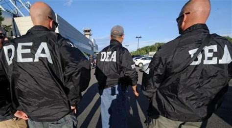 AMLO: US DEA Abusive, Meddling for Infiltrating Cartels - Puerto ...