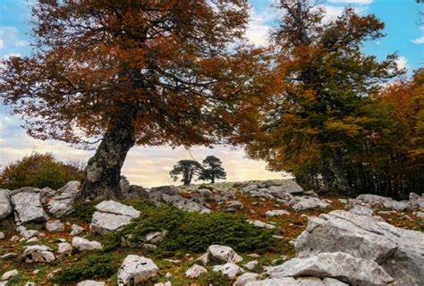 Parco Nazionale Del Pollino Tra Relax E Avventura