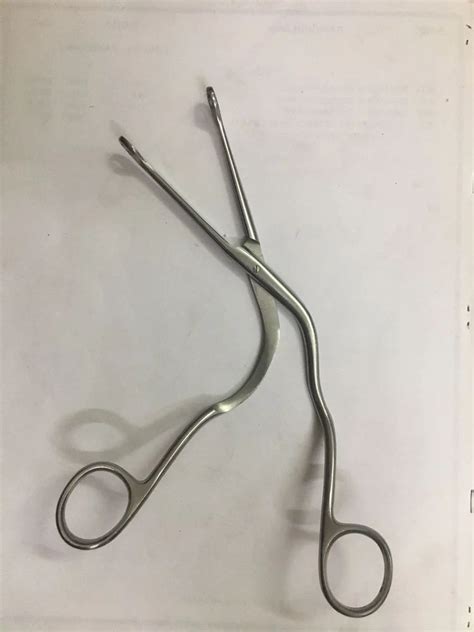 10 Inch Stainless Steel Magill Forcep At Rs 225piece Magill Forcep