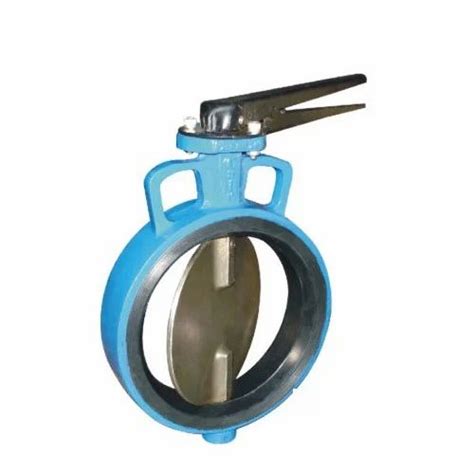 Slim Seal Butterfly Valve At Rs In