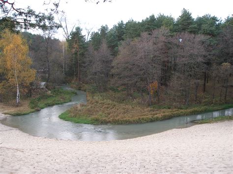 Deserts in Poland you must visit – the Starczynow Desert