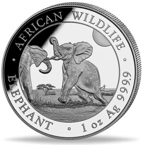 Somalia Shilling Elefant African Wildlife Unze Silber