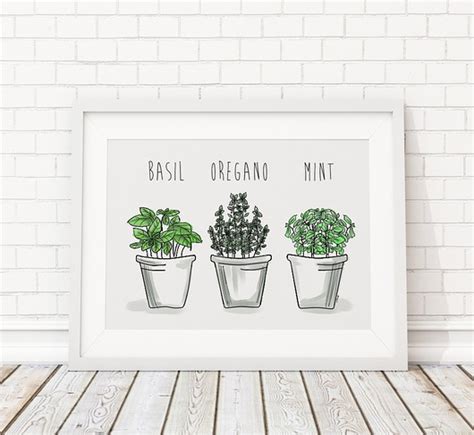 Plakat Do Skandynawskiej Kuchni Green Herbs Kreska Archiwum Pakamera Pl