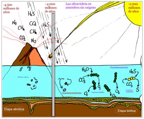 Origen De La Vida En La Tierra Biológicamente