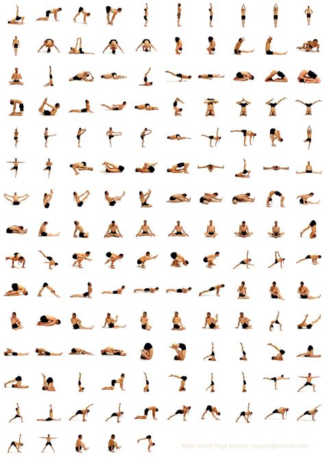 Yoga Chart With Names In Hindi A Visual Reference Of Charts Chart Master