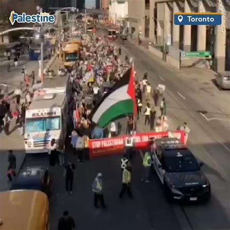 Palestine Online 🇵🇸 On Twitter Palestine Supporters Rallied In