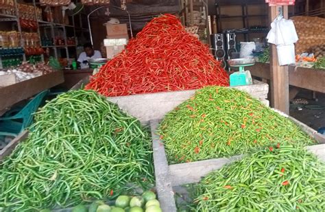 Harga Cabai Merah Di Aceh Barat Tembus Rp 70 Ribu Per Kilogram