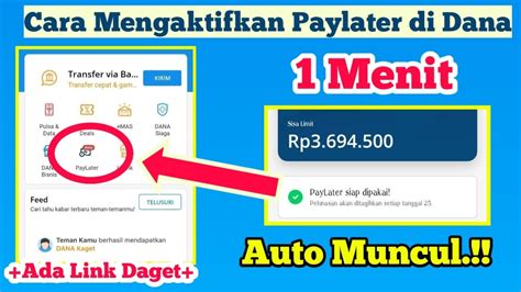 Alhamdulillah Berhasil Aktifkan Dana Paylater Agar Bisa Pinjam Uang