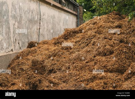 Pile Of Manure Hi Res Stock Photography And Images Alamy